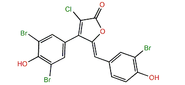 Rubrolide O